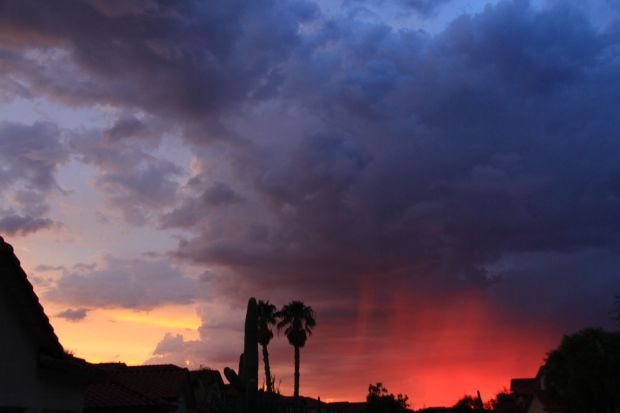 Reader photos: Tucson monsoon rain July 20, 2013